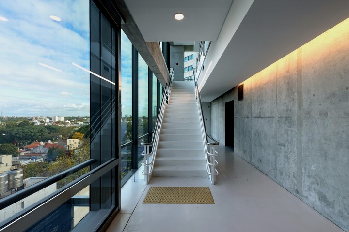 Privilegio. Las escaleras y los baños gozan de iluminación natural, una condición poco habitual en una torre.